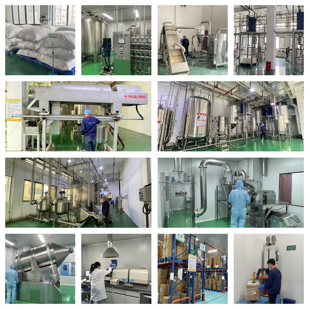 Water Soluble 10:1 Pu'er Tea Extract Powder  