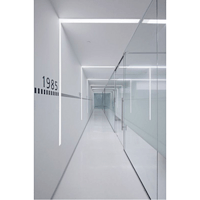 Pharmaceutical/ Hospital/ Cosmetic/ Lab/ Electronics/ Food Cleanroom Turnkey Project System with HVA