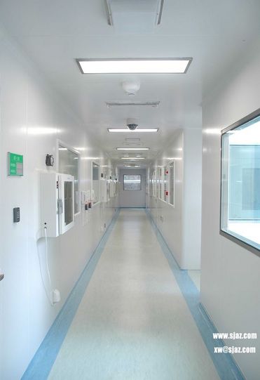 Pharmaceutical Cleanroom Turnkey Solution with HVAC System China Shanghai Manufacturer