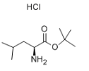 H-Leu-OtBu.HCl