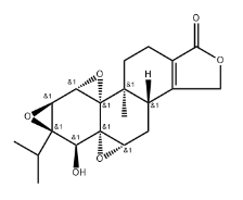 Chiral isomer of triptolide