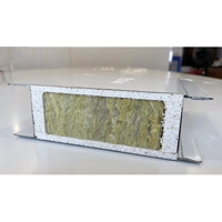 50/75/100mm Rockwool/Magnesium Oxysulfide/EPS/PU Modular Cleanroom Sandwich Panel for Pharmaceutical