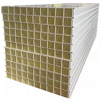 Wholesale 100mm Anti-Fire Magnesium MGO Panel Rockwool Insulated Sandwich Panel for Clean Room