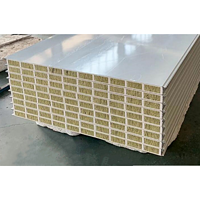 50mm 100mm Rockwool Insulated Sandwich Board Magnesium Oxide MGO Fireproof Panel for Wall Ceiling Pa