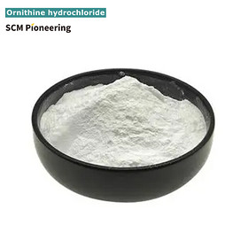 Food Grade Amino Acid Ornithine L-Ornithine Hydrochloride Powder CAS 3184-13-2