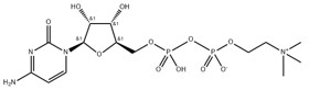 Citicoline (CDP choline)