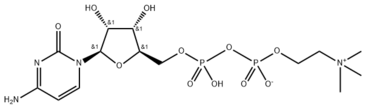 Citicoline (CDP choline)