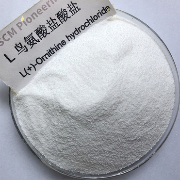 Food Grade Amino Acid Ornithine L-Ornithine Hydrochloride Powder CAS 3184-13-2