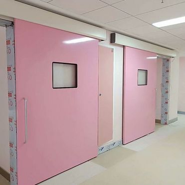 Ralcolor GMP Standard Single&Double Steel/Aluminous Cleanroom Door Used for Pharmaceutical Factories