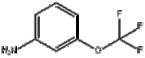 3-(Trifluoromethoxy)aniline