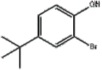 2-Bromo-4-tert-butylphenol