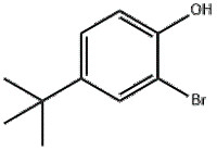 2-Bromo-4-tert-butylphenol