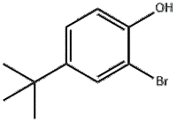 2-Bromo-4-tert-butylphenol