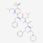 Carfilzomib