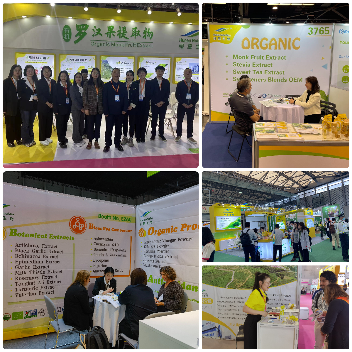 Polysaccharides 4%-60% Organic Reishi Mushroom Extract  