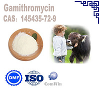 Gamitomycin