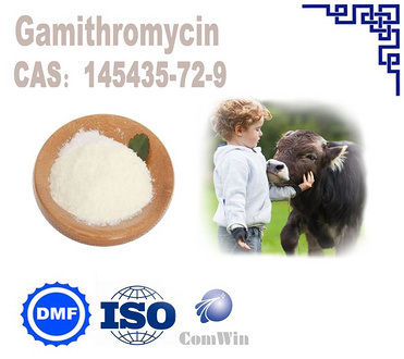 Gamitomycin