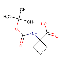 N-Boc-1-aminocyclobutanecarboxylic acid