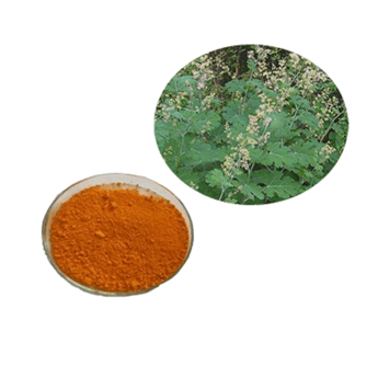 Macleaya cordata extract powder