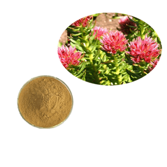 Rhodiola rosea extract rosavins/Salidroside