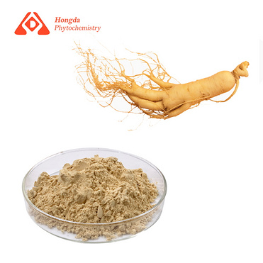 Ginseng extract powder