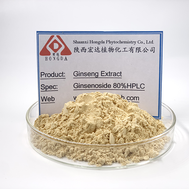 Ginseng extract powder  