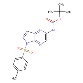 tert-butyl 5-tosyl-5H-pyrrolo[2,3-b]pyrazin-2-ylcarbamate