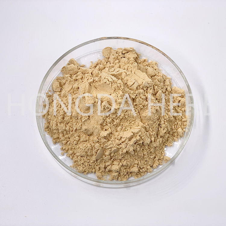 Ginseng extract powder  