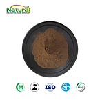 Black Garlic Extract Powder