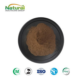 Black Garlic Extract Powder