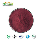 Cranberry Fruit Powder