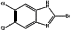 2-bromo-5,6-dichloro-1H-1,3-benzodiazole