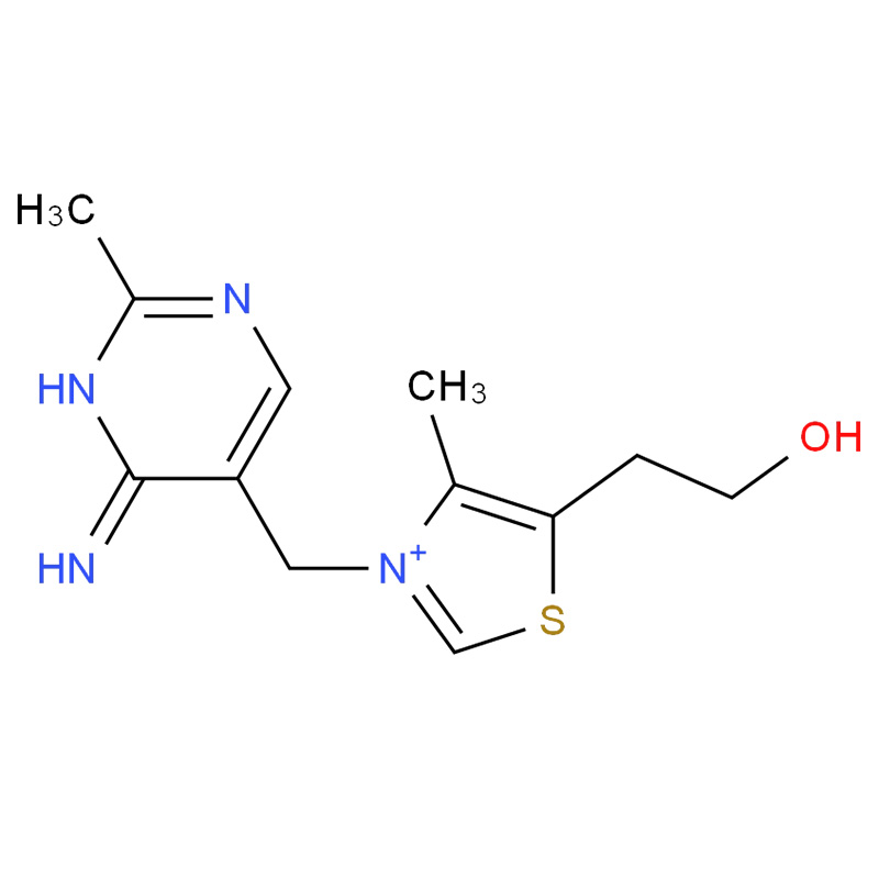 Thiamine Vitamin B1 Powder for Dietary Supplement  