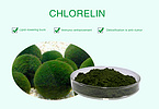 Chlorella Powder