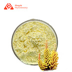Pine pollen powder