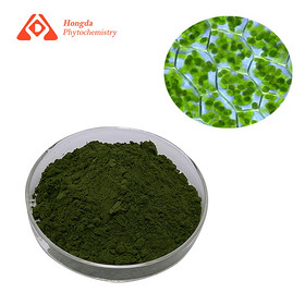 Chlorella Powder