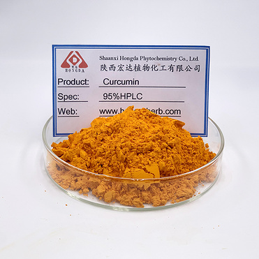 Curcumin extract powder