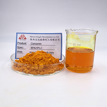 Curcumin extract powder