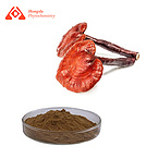 Reishi mushroom extract powder