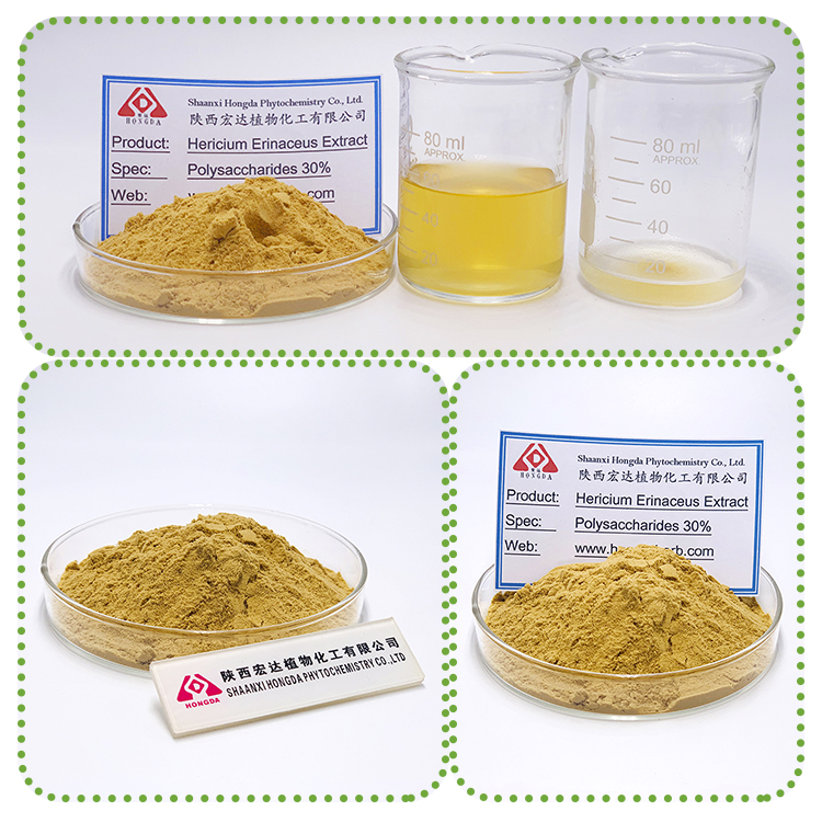 Hericium erinaceus extract  
