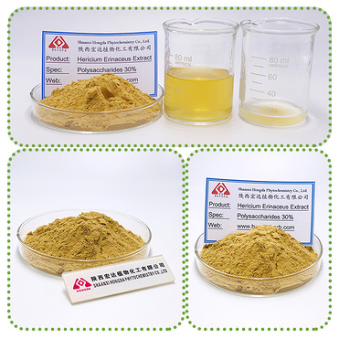 Hericium erinaceus extract