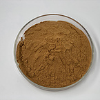 Reishi mushroom extract powder