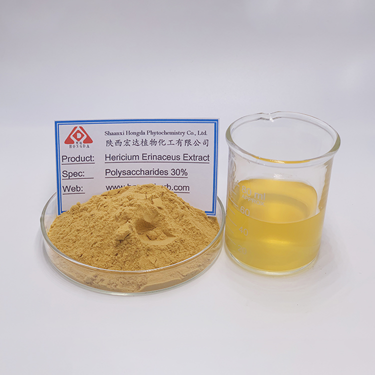 Hericium erinaceus extract  