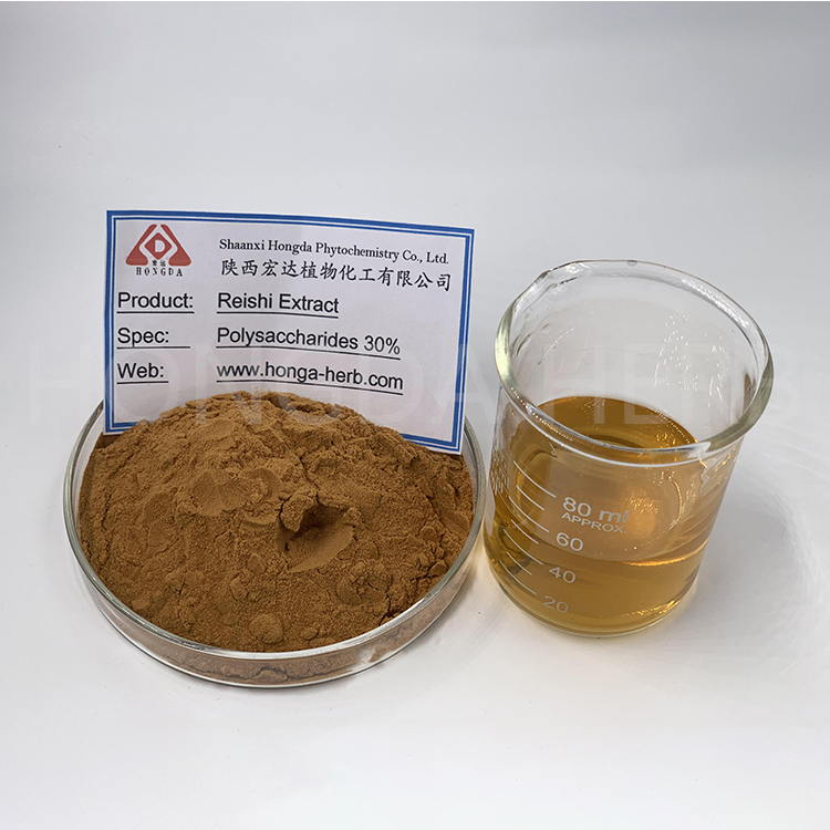 Reishi mushroom extract powder  