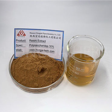 Reishi mushroom extract powder