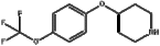 4-[4-(Trifluoromethoxy)Phenoxy]Piperidine