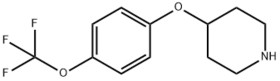 4-[4-(Trifluoromethoxy)Phenoxy]Piperidine