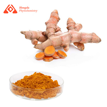 Curcumin extract powder