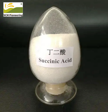 Chemical Material 99.5% CAS 110-15-6 Succinic Acid with Best Price