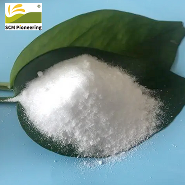 Chemical Material 99.5% CAS 110-15-6 Succinic Acid with Best Price